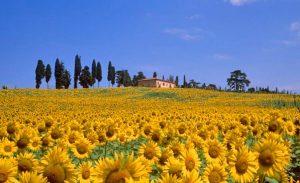Toscana